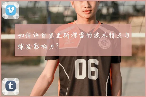 如何评价克里斯穆雷的技术特点与球场影响力?